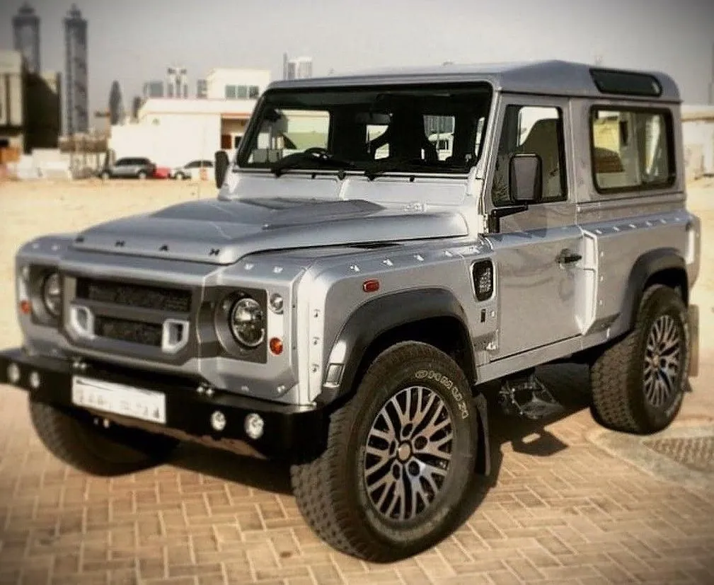 Land Rover Defender de Ricardo Severin