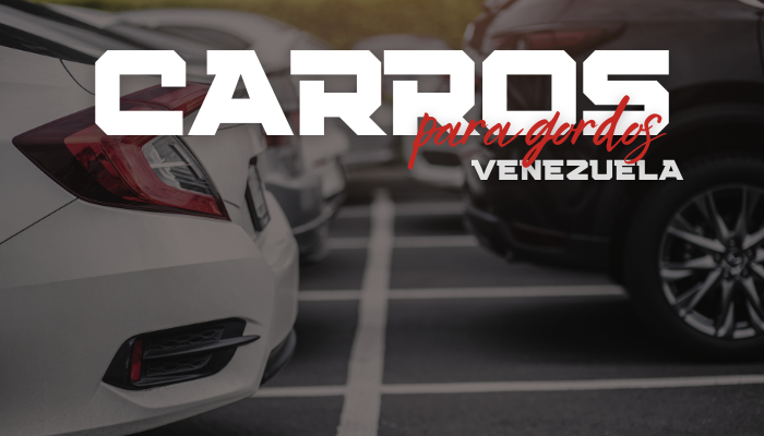 Ricardo aconseja a sus clientes para que compren su carro ideal